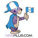 NRS Paco Magnet Guatemala (Pack of 10)