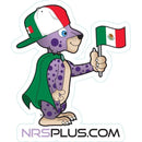 NRS Paco Magnet Mexico (Pack of 10)